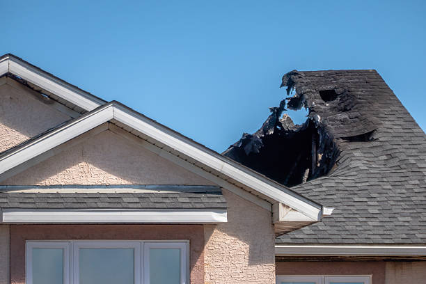 Licensed Fire Damage Removal service in Hamel, MN - Fire Damage Biloxi